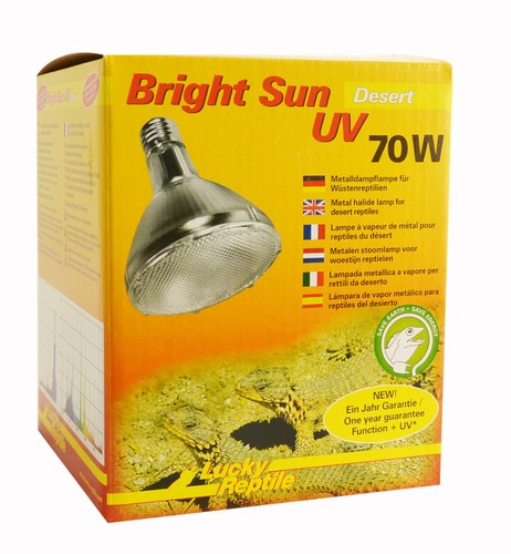 Bright sun desert - bright,