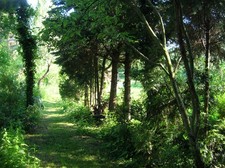 Die Sopranos. 6 Staffeln