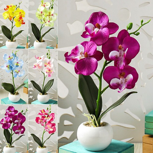 Künstliche orchidee topf - im,