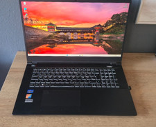 High End Gaming Clevo PC70DR Notebook i7-RTX 3070 32GB RAM-17,3"-4TB SSD