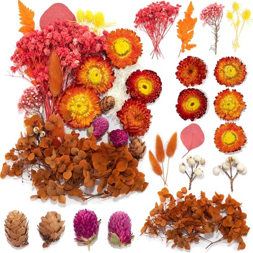 Getrocknete blumen set - blumen,