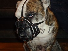 Licht Leder Hund Maulkorb Für