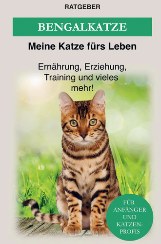 Bengalkatze erziehung - bengalkatze,