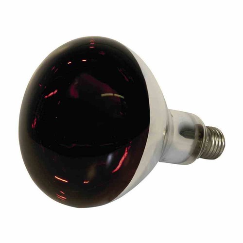 Infrarotlampe 250w rot - infrarotlampe,