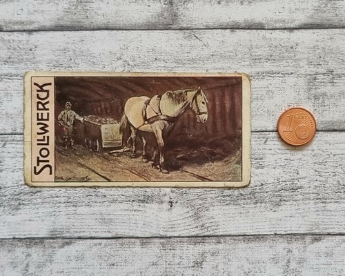 Pferd bergwerk stollen - pferd,
