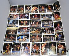 44 Wrestling Karten aus den