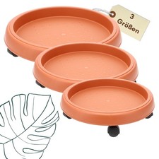 Pflanzenroller rund Rollbrett