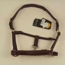 EQuest Lederhalfter mit