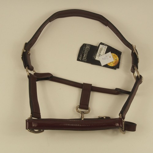 Equest lederhalfter mit - equest,