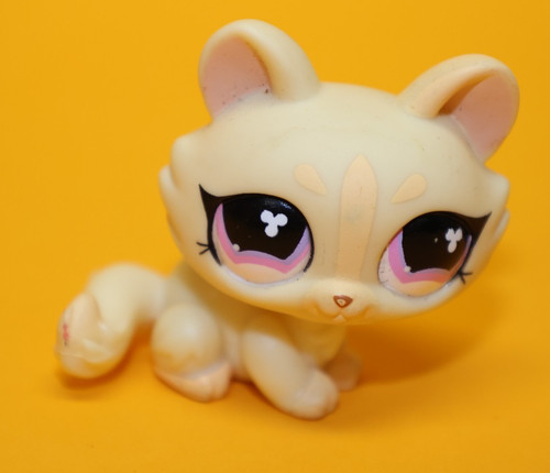 Hasbro littlest pet - pet, katze