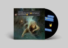 Arab Strap I'm Totally Fine