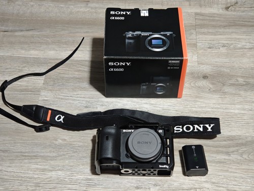 Sony alpha a6600 - sony,