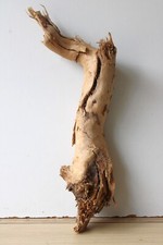 Treibholz Schwemmholz