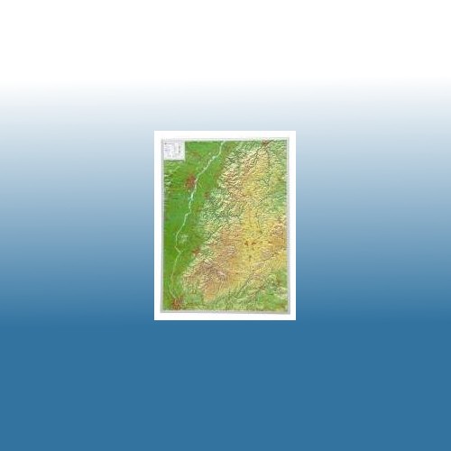 Schwarzwald reliefkarte - schwarzwald,,