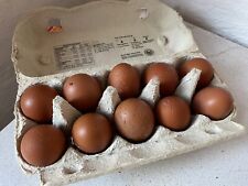 10 Stück Hühnereier; Bruteier, Marans, Braunleger