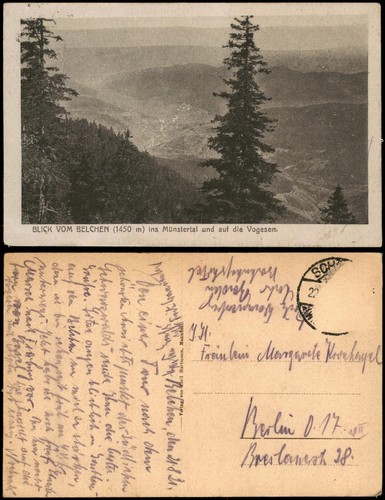 Schönau schwarzwald blick - schönau,