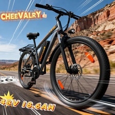 1000w E-bike Mountainbike