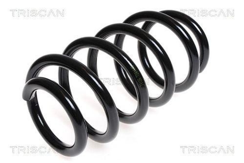 Triscan spiralfeder vorne für - spiralfeder,