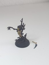Warhammer Age Of Sigmar Fantasy Sylvaneth Waldelfen Drycha Dryade Branchwraight