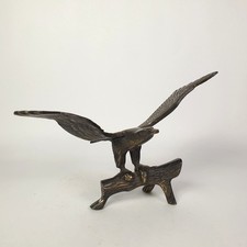 Ein  Adler auf einem Ast