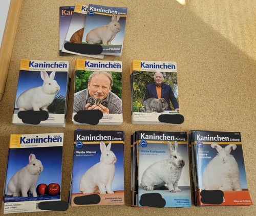 Kaninchen zeitung - kaninchen,
