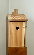 Zwitscherkasten die originelle