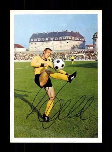 Siegfried held borussia - siegfried,