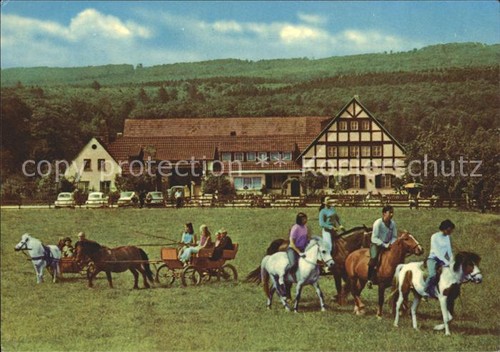 Ruedesheim rhein ponyhof - ruedesheim,