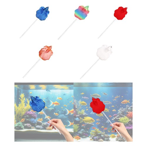 Betta-Trainingsstab