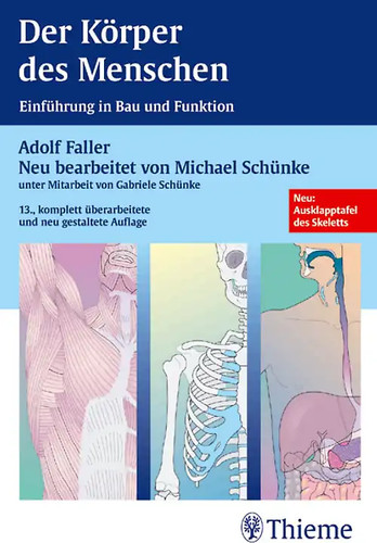 Der körper des - der,