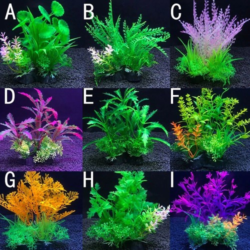 Aquarium pflanzen - aquarium,