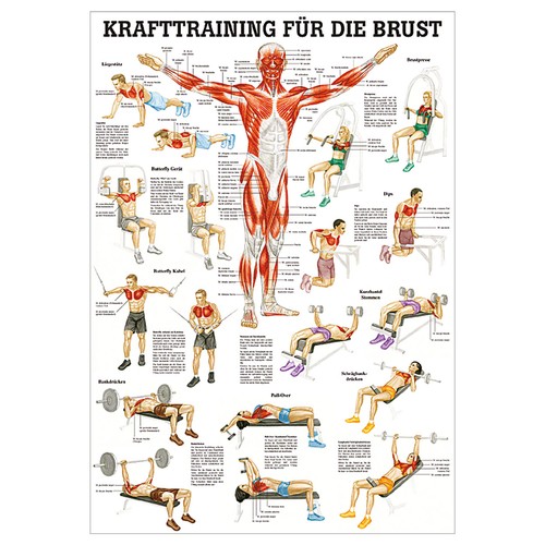 Mini poster krafttraining - mini-poster, "krafttraining