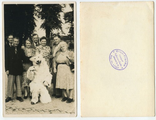 45027 gruppenbild mit - 45027,
