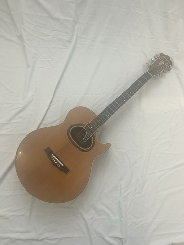 Ibanez akustikgitarre ragtime - ibanez,