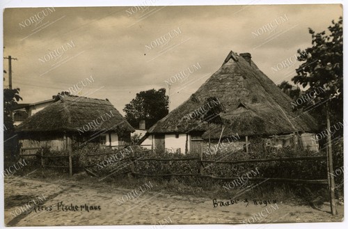 Foto baabe auf rügen - foto,