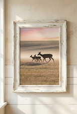 Wandbilddruck Reh & Rehkitze