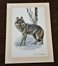 WOLF . Canis lupus * Kunstdruck, Poster, Bild, Dekoration