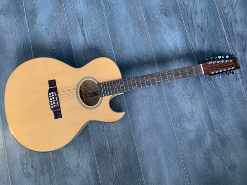 Washburn ea40 saitige - washburn, 12-saitige