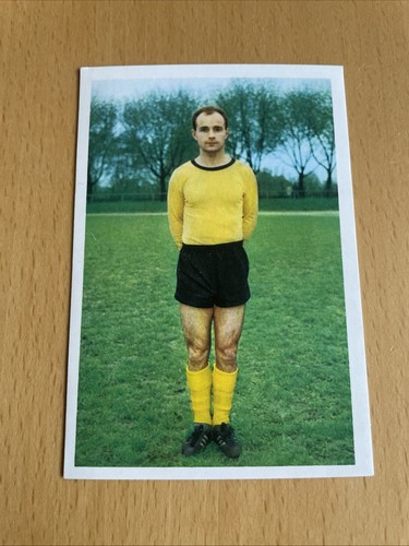 Bergmann 1966 75 sturm - bergmann, 1966/67