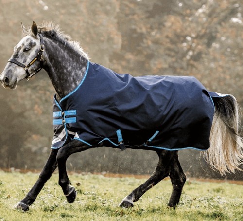 Horseware amigo bravo - bravo, 12