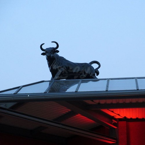 Stier lebensgroß carlos - lebensgroß,
