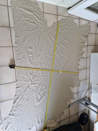 Lederhaut rindleder ca - lederhaut, /