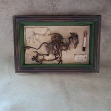 Exponat mumifiziertes Drachen