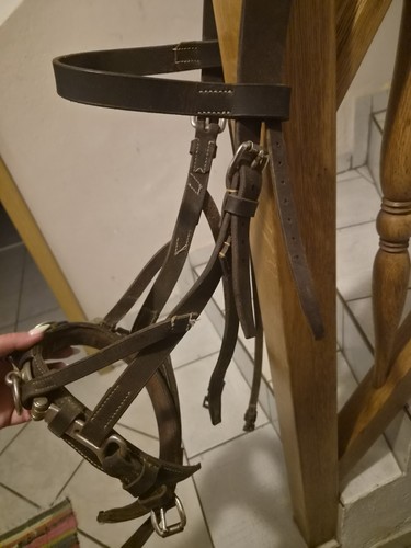 Kappzaum longierhalfter aus - longierhalfter,