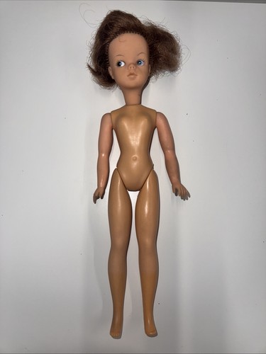 Vintage pedigree sindy - vintage, puppe