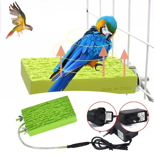 Vögel barsch stand vogel - vögel,