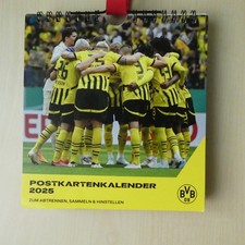 BVB Posterkalender 2025 | Jahres-Wandkalender 2025 | Fußball