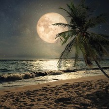 FOTOTAPETE Nacht am Strand