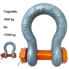 Schäkel hochfest geschweift