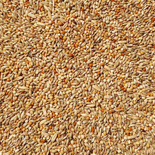 Supravit Wellensittichfutter